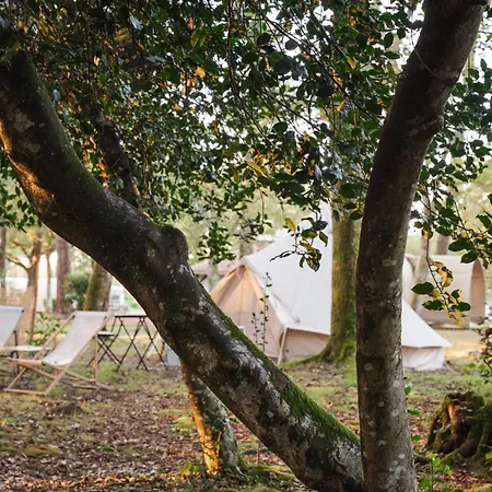 豪华帐篷 Cocooning Tipi - *