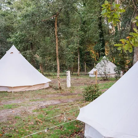 ラグジュアリーテント Cocooning Tipi - *