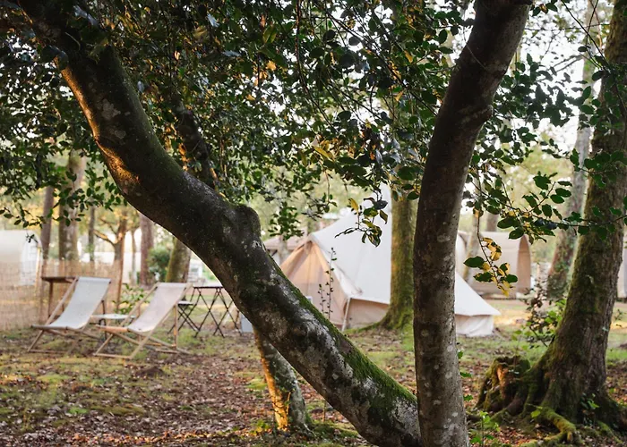 Οργανωμένο κάμπινγκ Cocooning Tipi - *